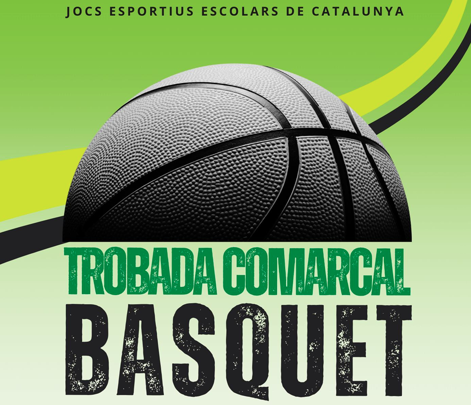 Trobada Comarcal de Bàsquet